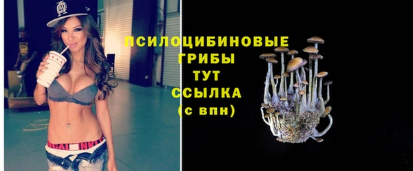 крисы Алексеевка